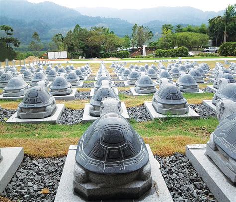 生基风水